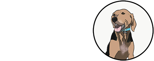 Blogging My Dog